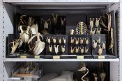 museum de histoire naturelle rouen 10-2021 0190